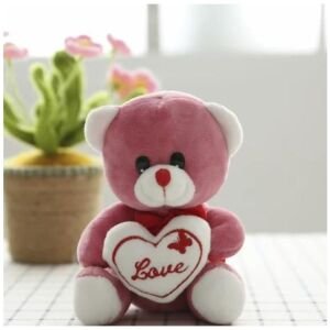 Love Quote Soft Teddy