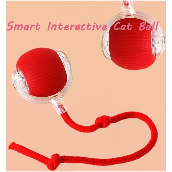 Viral Rolling Ball Interactive Cat Ball Toy - Image 3