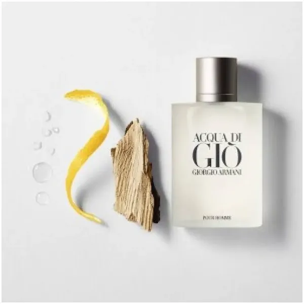 Acqua Di Gio Giorgio Armani Pour Homme EDT 100ML Perfume For Men (SW869)