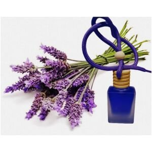 Hanging Car Perfume Pods Diffuser Scent (Pack Of 1 Assorted Perfume)