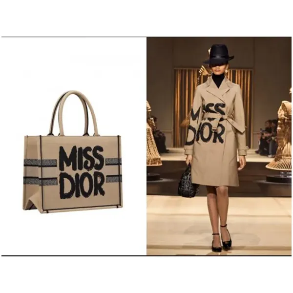 Christian Dior Handbag For Women (SW341) - Image 2