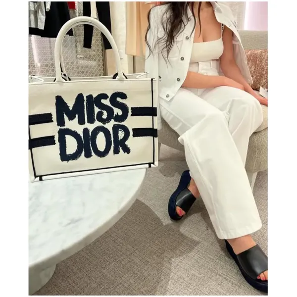Christian Dior Handbag For Women (SW342)