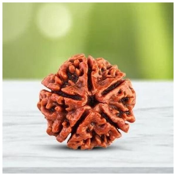 108 Beads Rudraksha Jaap Mala - Image 3