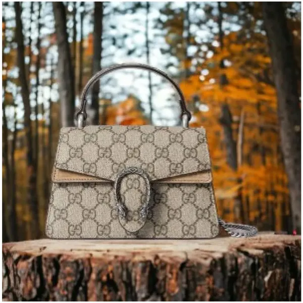 Gucci Handbag For Women (FT254)