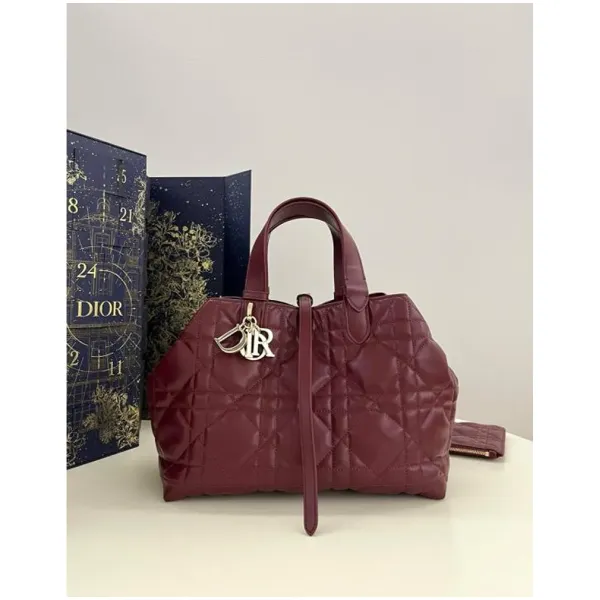Dior Handbag For Women (FT257)