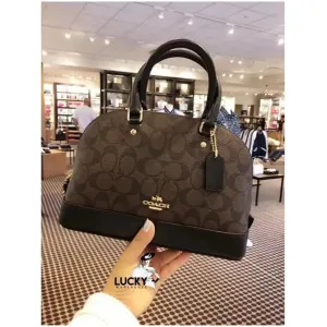 Coach Handbag For Women (BOT1944)