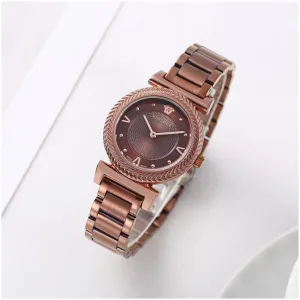 Versace Watch For Women (BOT1406)