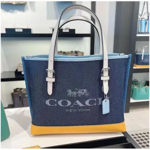 Coach Handbag For Women (LAB1018)