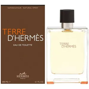 Terre Hermes Perfume